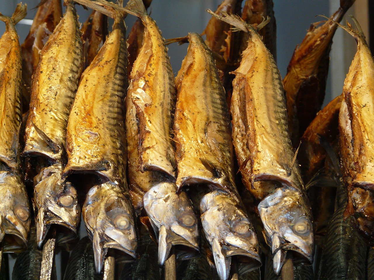 Mackerel Fishery -Smoked fish