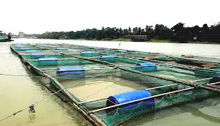 Fishery Science: Scope and Careers