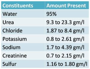 Constituents And Composition Of Urine