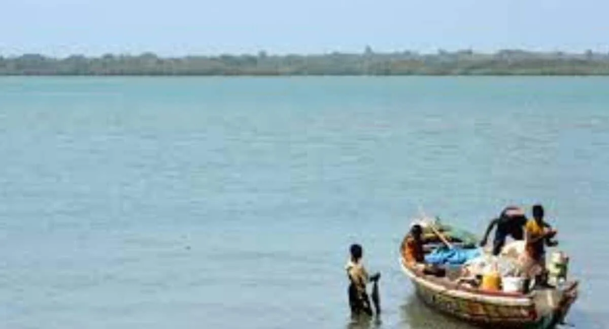 Pulicat Lake Fishing