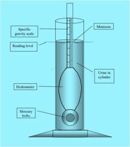 Urinometer