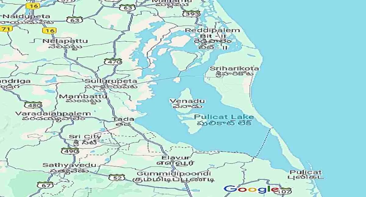 Pulicat Lake