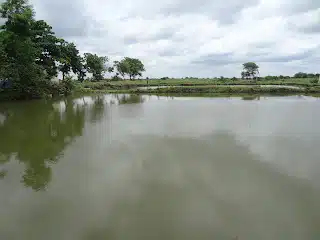 Aquaculture Methods