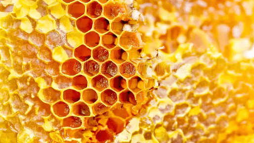 Honey Bee Products: Beewax