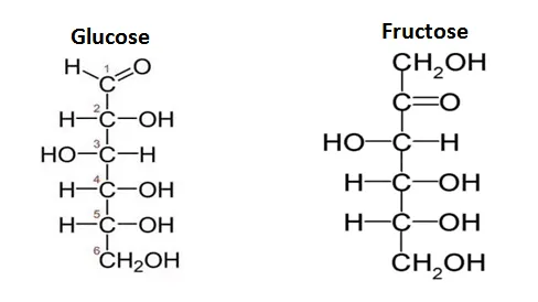 Carbohydrate