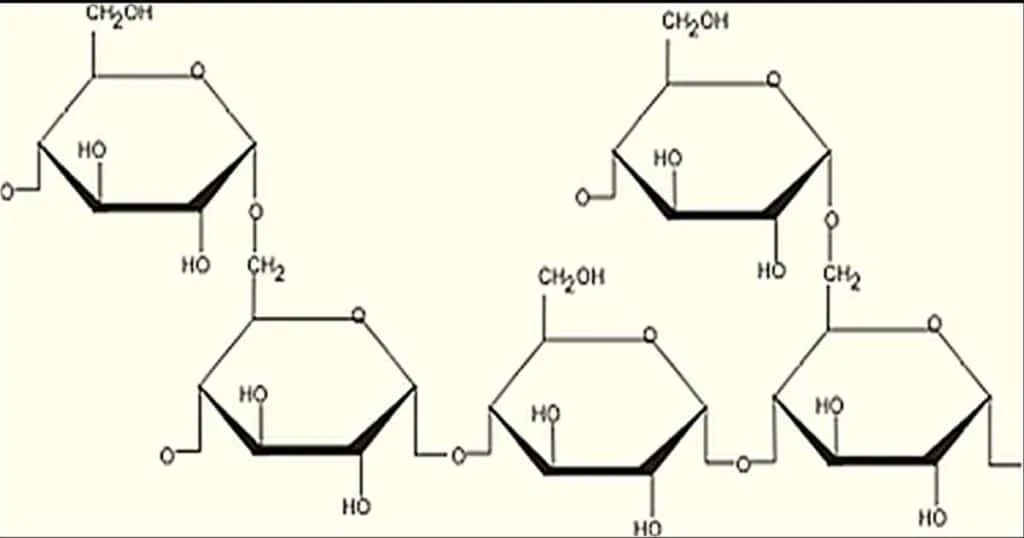 Carbohydrate