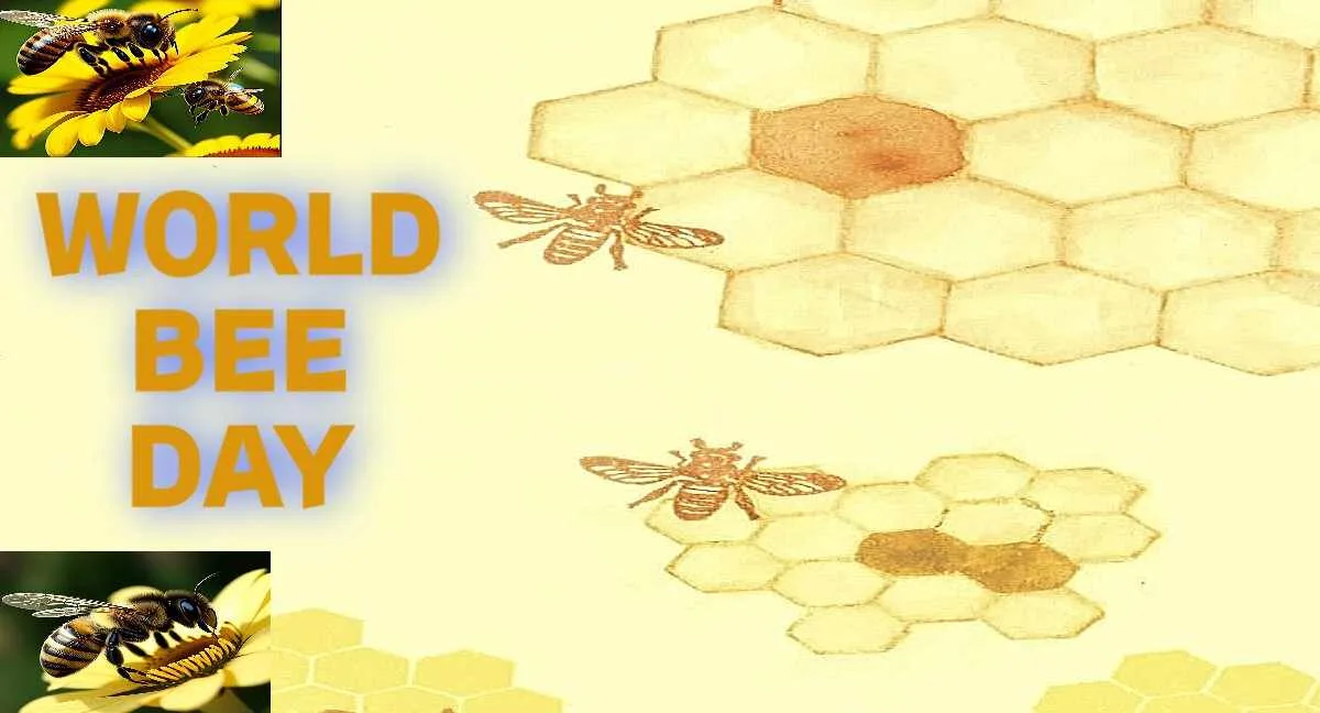 World Bee Day