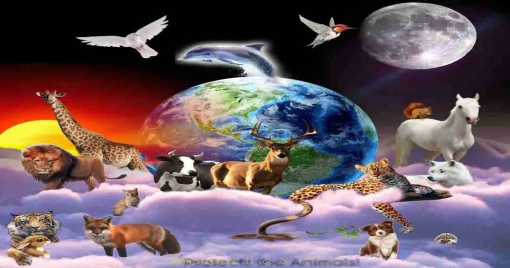 Protecting Animal Diversity in an Ever Changing Environment