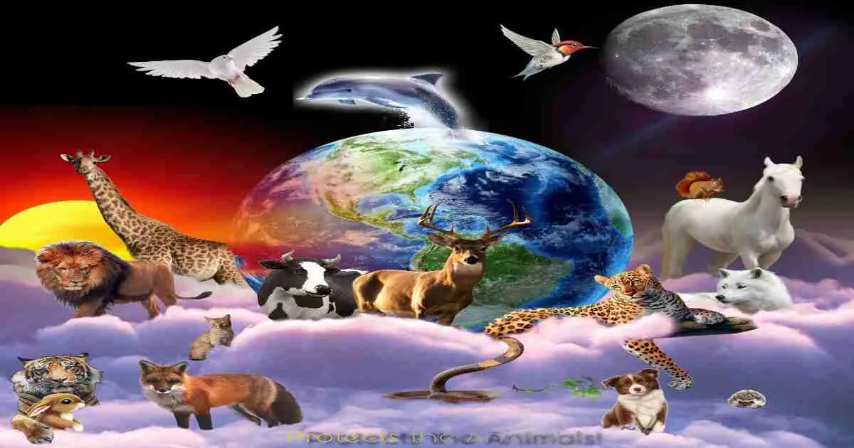 Protecting Animal Diversity in an Ever Changing Environment