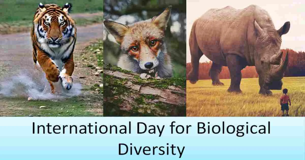 International Day for Biological Diversity