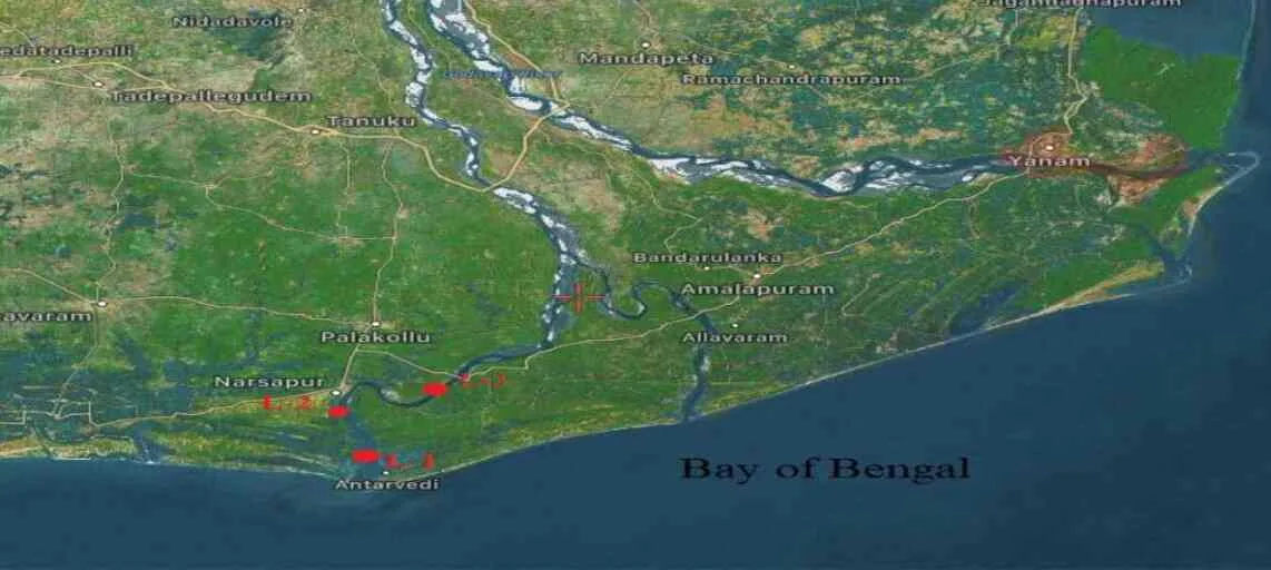 Godavari Estuary