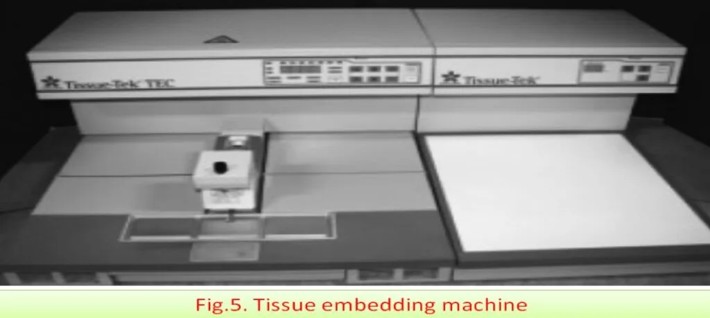 Embedding in Histopathology