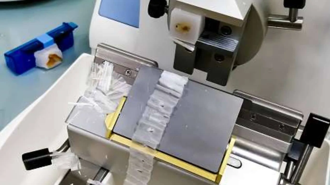 Sectioning, Staining, Mounting and Photomicrography